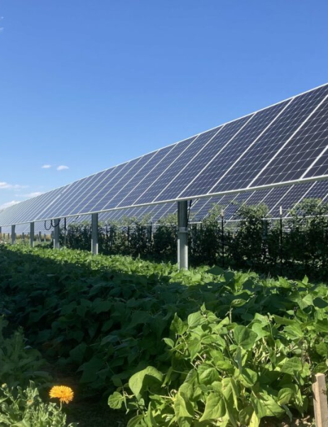 THIẾT BỊ NĂNG LƯỢNG PHONG VŨ